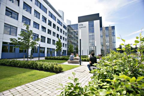 Университет Данди - University of Dundee - 5