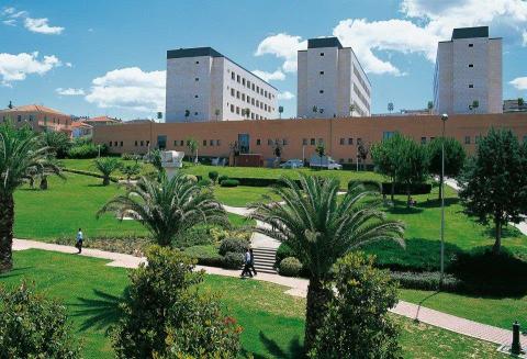 Университет Габриэле д'Аннунцио Кьети и Пескара - Università degli Studi Gabriele d'Annunzio Chieti e Pescara - 2