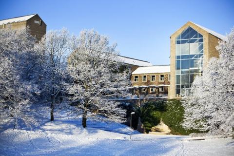 Колготкалар мен шұлықтарды шешпей жыныстық қатынас