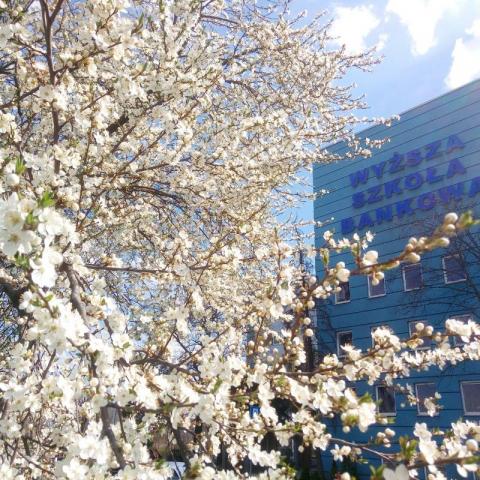 Университет ВСБ в городе Ополе - WSB University in Opole - 6