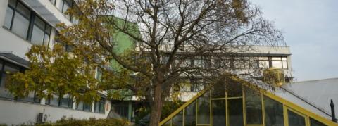 Университет ветеринарных и фармацевтических наук в Брно - Veterinární a Farmaceutická Univerzita v Brně - 2