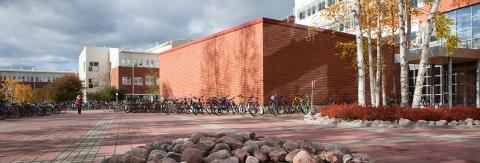 Университет Лапландии - University of Lapland - 3