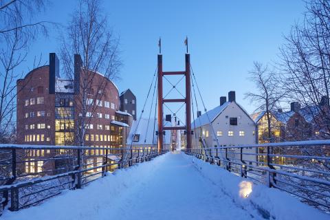 Университет Средней Швеции - Mid Sweden University - 4