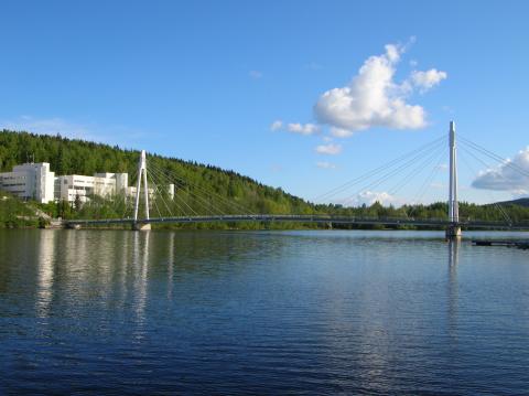 Ювяскульский университет - University of Jyvaskyla - 5