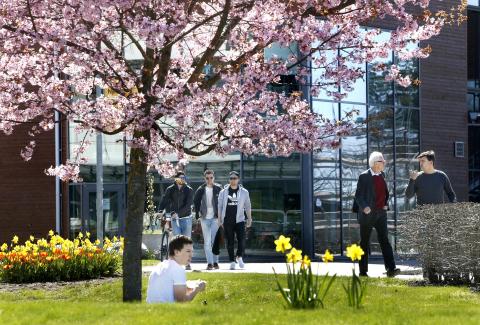 Университет Карлстада - University of Karlstad - 3