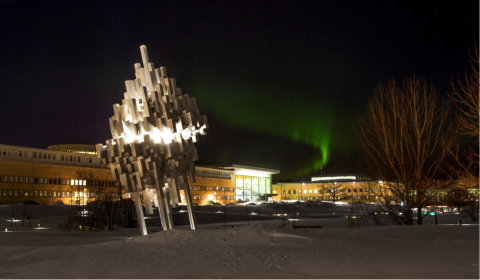 Университет Умео - Umea University - 4