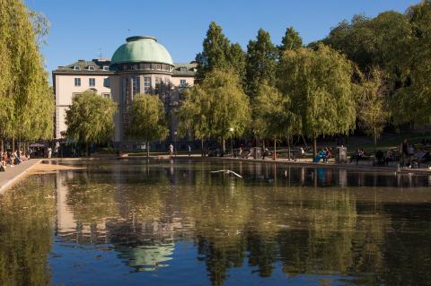 Стокгольмская Школа экономики - Stockholm School of Economics - 3