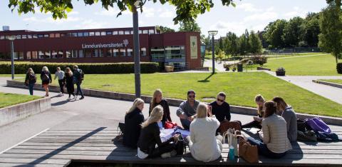 Университет Линнея - Linnaeus University - 5