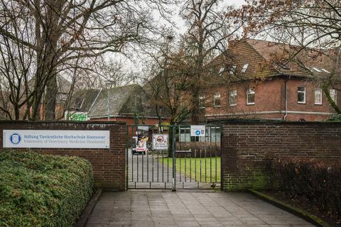 Ветеринарный университет Ганновера - Tierärztliche Hochschule Hannover - 3
