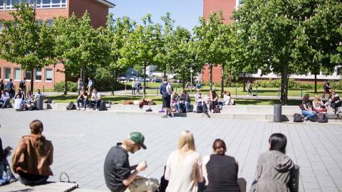 Университет прикладных наук Киль - Fachhochschule Kiel - 3