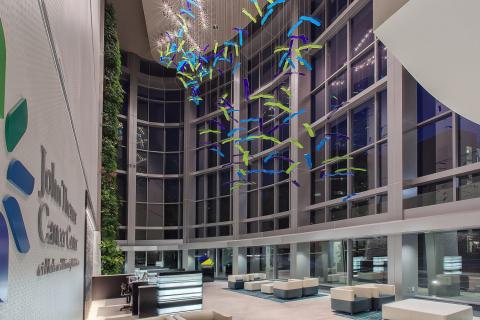 Университет Святого Георгия, Гренада 4