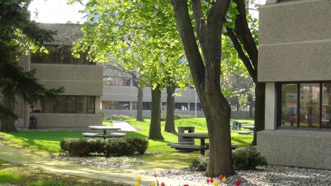 Международный центр английской академической подготовки ICEAP - 8