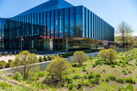 Университет Вебстера – 4