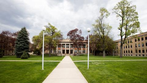 Университет Конкордия, Чикаго - 2