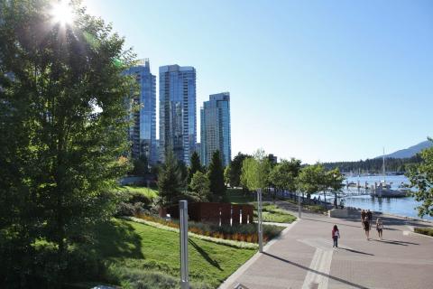 Международный колледж ILAC - 3