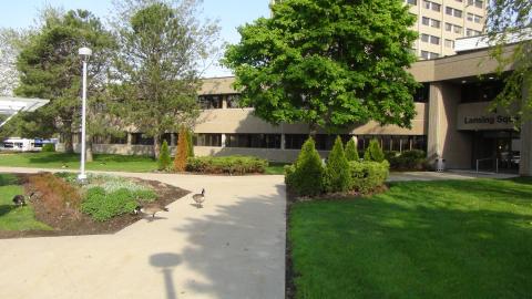 Международный центр английской академической подготовки ICEAP - 7