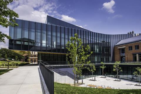 Университет Вебстера – 8