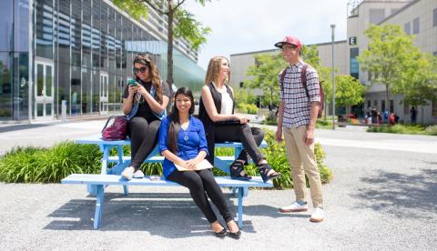 Сентенниал Колледж - 7