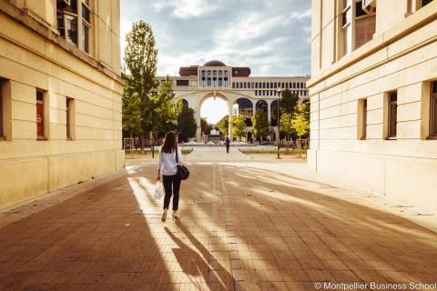 Бизнес-школа Монпелье - 4
