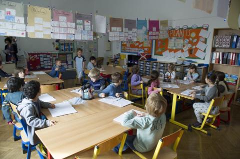 Дунайская международная школа - Danube International School