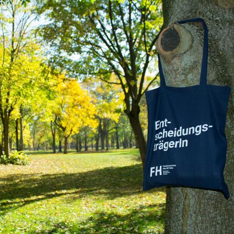 Университет прикладных наук BFI Wien- Fachhochschule des BFI Wien