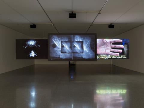 Государственный университет изобразительных искусств - Staatliche Hochschule für Bildende Künste – Städelschule