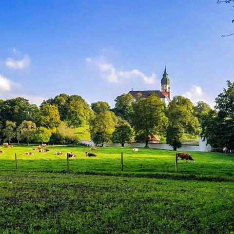 Аугсбургский университет - University of Augsburg