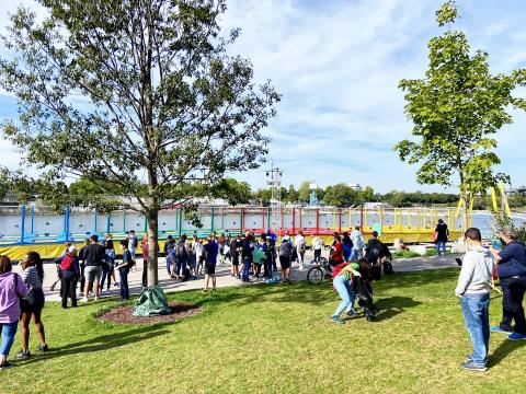 Венская международная школа - Vienna International School