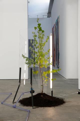 Университет изобразительных искусств Брауншвейга - Hochschule für Bildende Künste Braunschweig