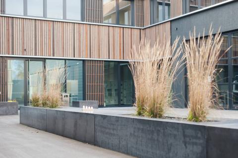 Университет прикладных наук Вайенштефан-Триздорф - Hochschule für angewandte Wissenschaften Weihenstephan-Triesdorf