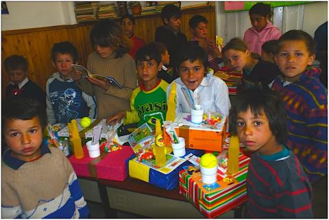 Дунайская международная школа - Danube International School