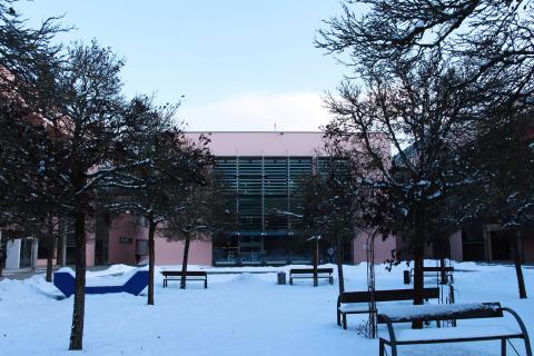 Технологический университет Деггендорфа - Technische Hochschule Deggendorf