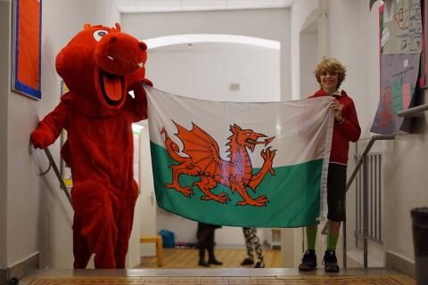 Дунайская международная школа - Danube International School