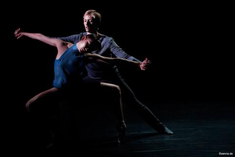 Университет танца в Дрездене - Palucca Hochschule für Tanz Dresden