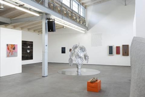 Высшая школа изобразительных искусств Дрездена - Hochschule für Bildende Künste Dresden