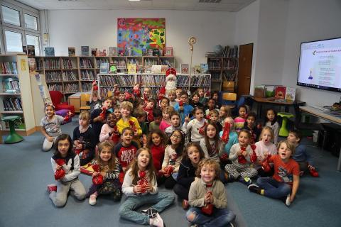 Американская международная школа в Вене - American International School of Vienna