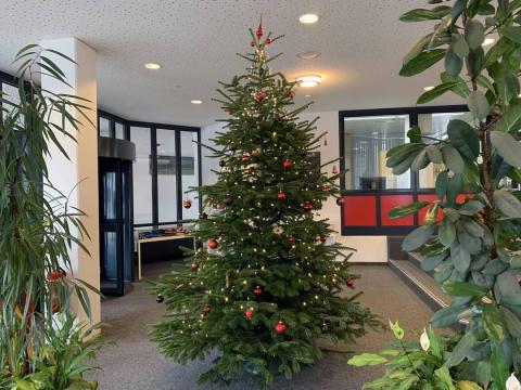 Аугсбургский университет - University of Augsburg