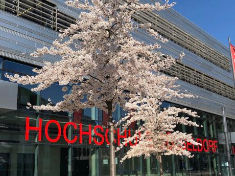 Университет прикладных наук Дюссельдорфа - Hochschule Düsseldorf