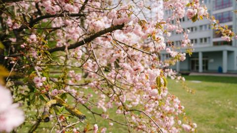 Берлинский университет прикладных наук - Hochschule für Technik und Wirtschaft Berlin