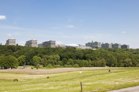 Рурский университет - Ruhr-Universität Bochum
