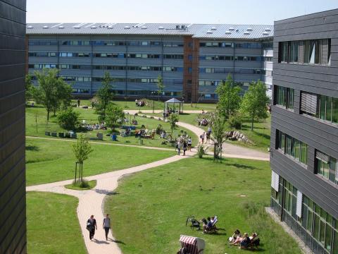 Фленсбургский университет - Universität Flensburg