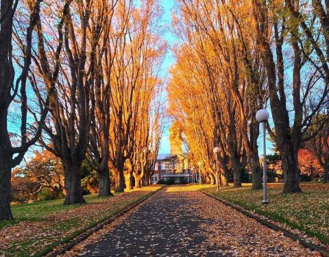 Колледж Camosun – Camosun College