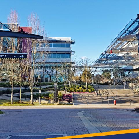 Нью-Йоркский технологический институт – New York Institute of Technology