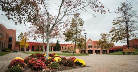 Университет Кейп-Бретона  – Cape Breton University