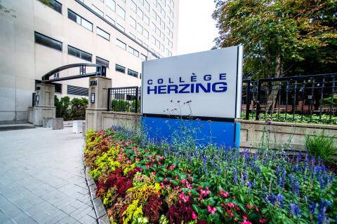 Колледж Herzing – Herzing College