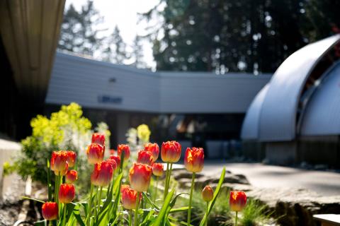 Университет Капилано – Capilano University