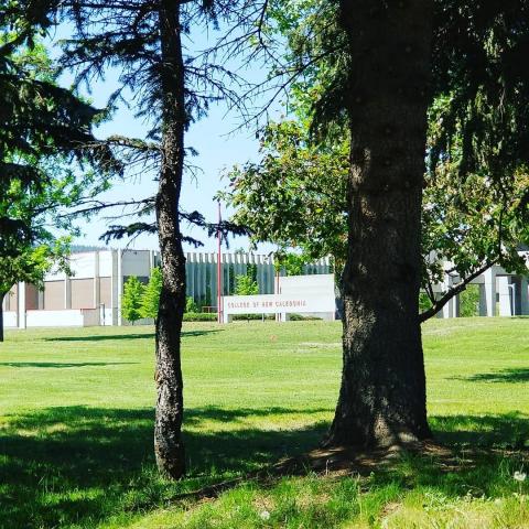 Колледж Новой Каледонии – College of New Caledonia