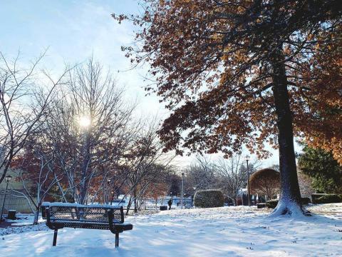 Университет Фэрли Дикинсона – Fairleigh Dickinson University