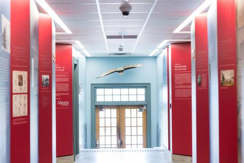 Университет Алгомы – Algoma University