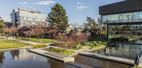 Колледж Langara – Langara College